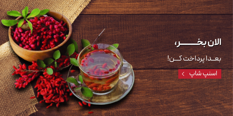 خرید اقساطی از فروشگاه دیار زعفران در اسنپ شاپ